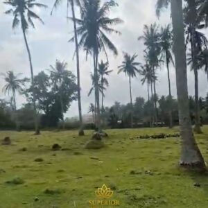 2.9 HECTARE FREEHOLD OCEANFRONT LAND