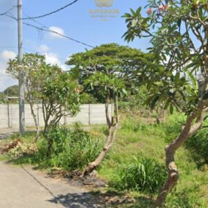 PREMIUM LAND FOR SALE IN THE HEART OF SANUR