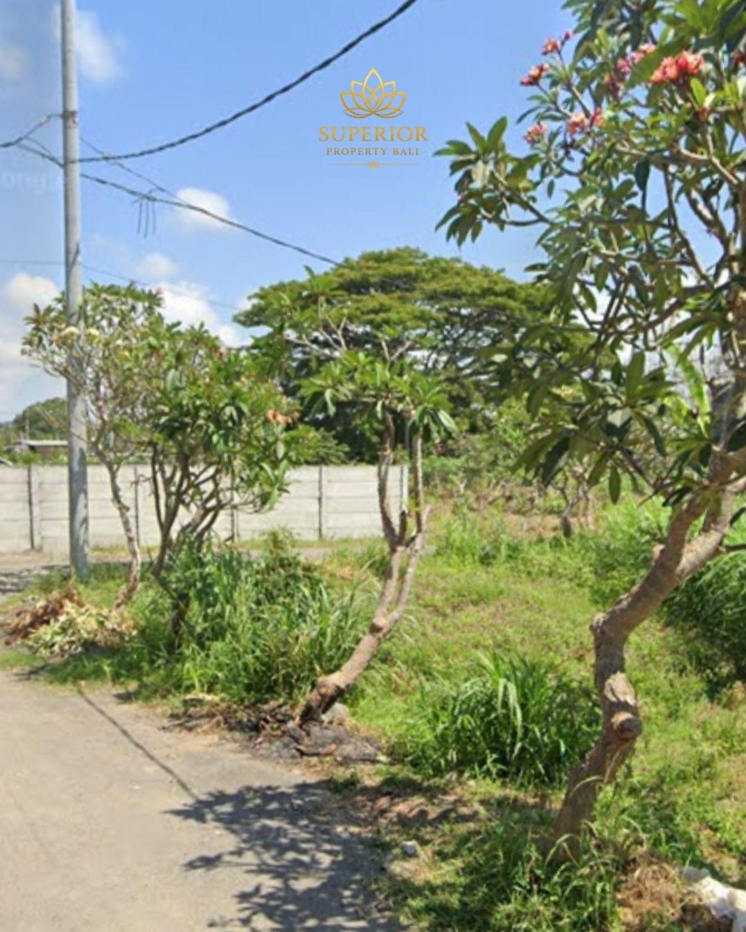 PREMIUM LAND FOR SALE IN THE HEART OF SANUR - Image 2