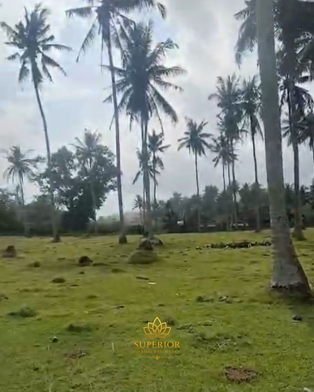2.9 HECTARE FREEHOLD OCEANFRONT LAND