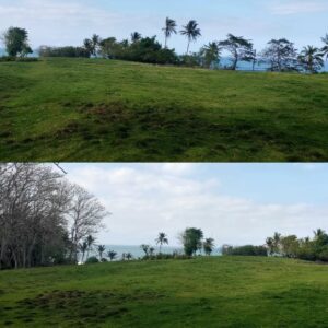 PRIME FREEHOLD LAND SOKA BEACH