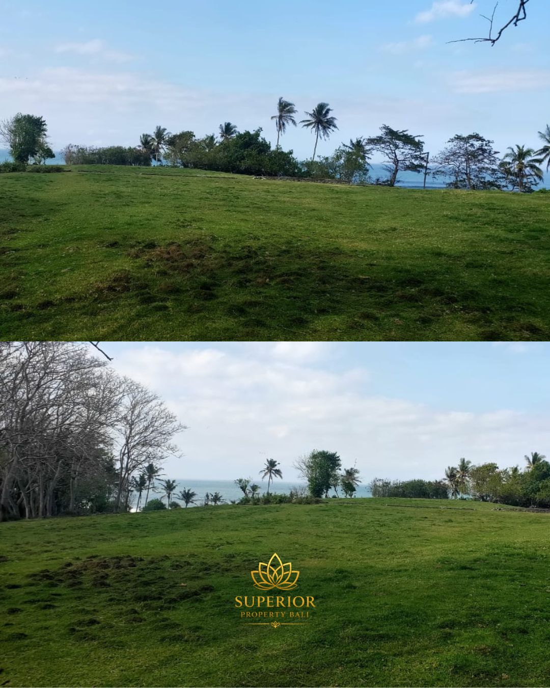 PRIME FREEHOLD LAND SOKA BEACH TABANAN - Image 4