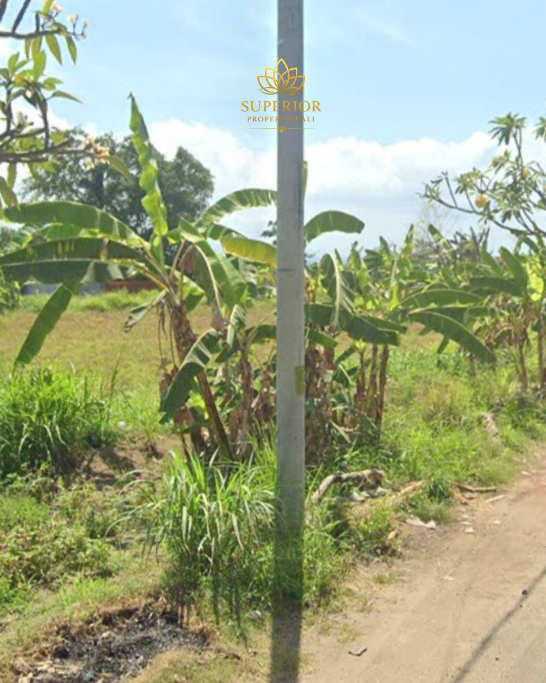 PREMIUM LAND FOR SALE IN THE HEART OF SANUR - Image 4