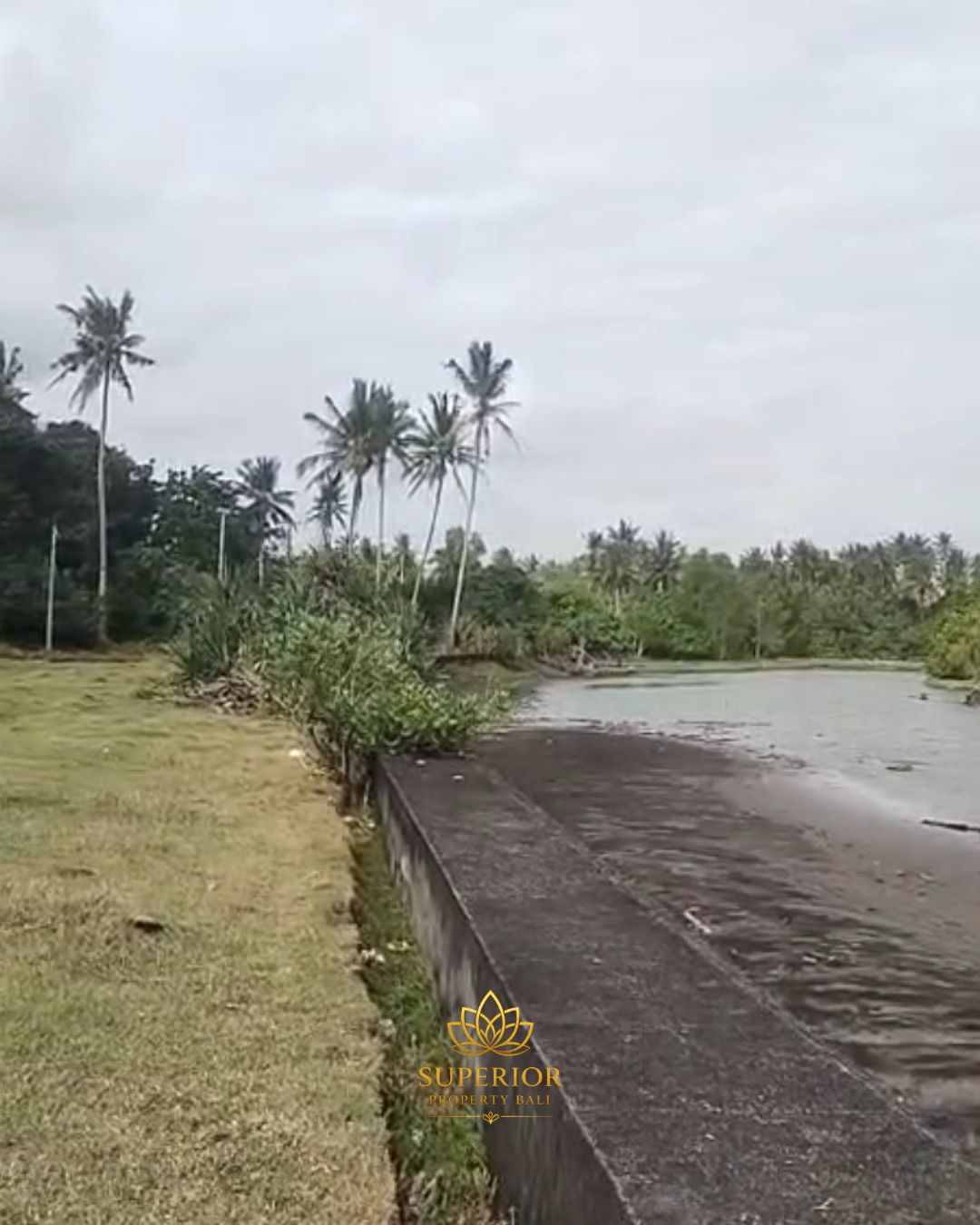 2.9 HECTARE FREEHOLD OCEANFRONT LAND - Image 5