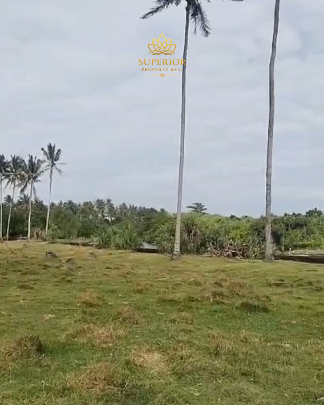 2.9 HECTARE FREEHOLD OCEANFRONT LAND - Image 6