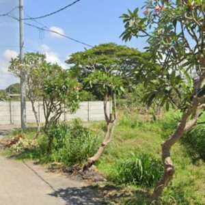 PREMIUM LAND FOR SALE IN THE HEART OF SANUR 