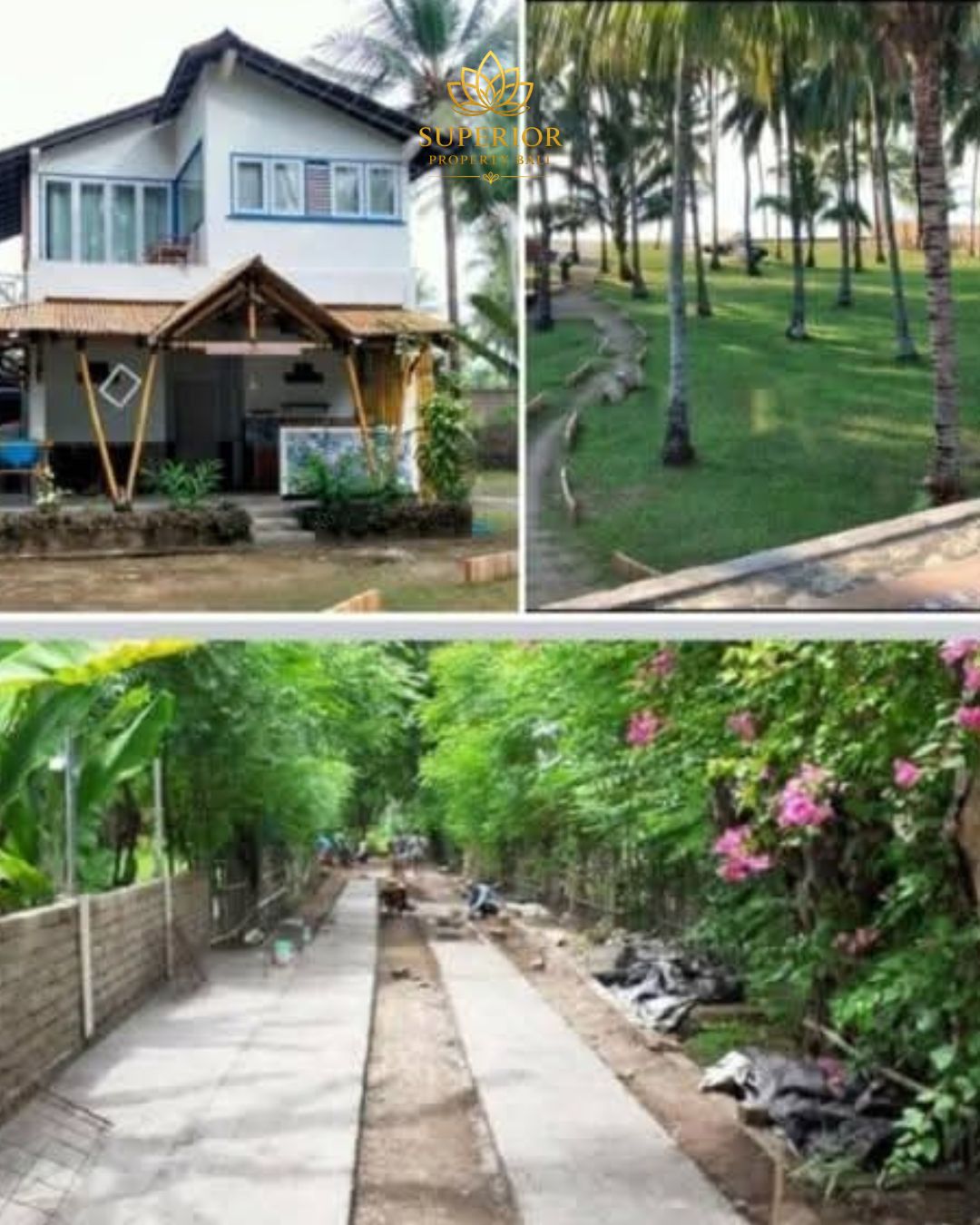 BEACH FRONT LAND IN TANJUNG NORTH LOMBOK