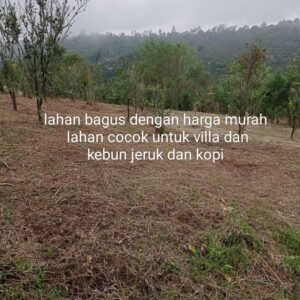 land for sale in Kintamani, Your dream investment start here!