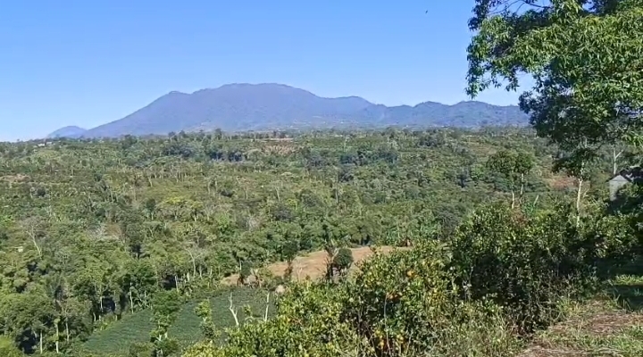 Land for lease in Kintamani - Image 2