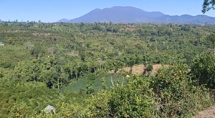 Land for lease in Kintamani